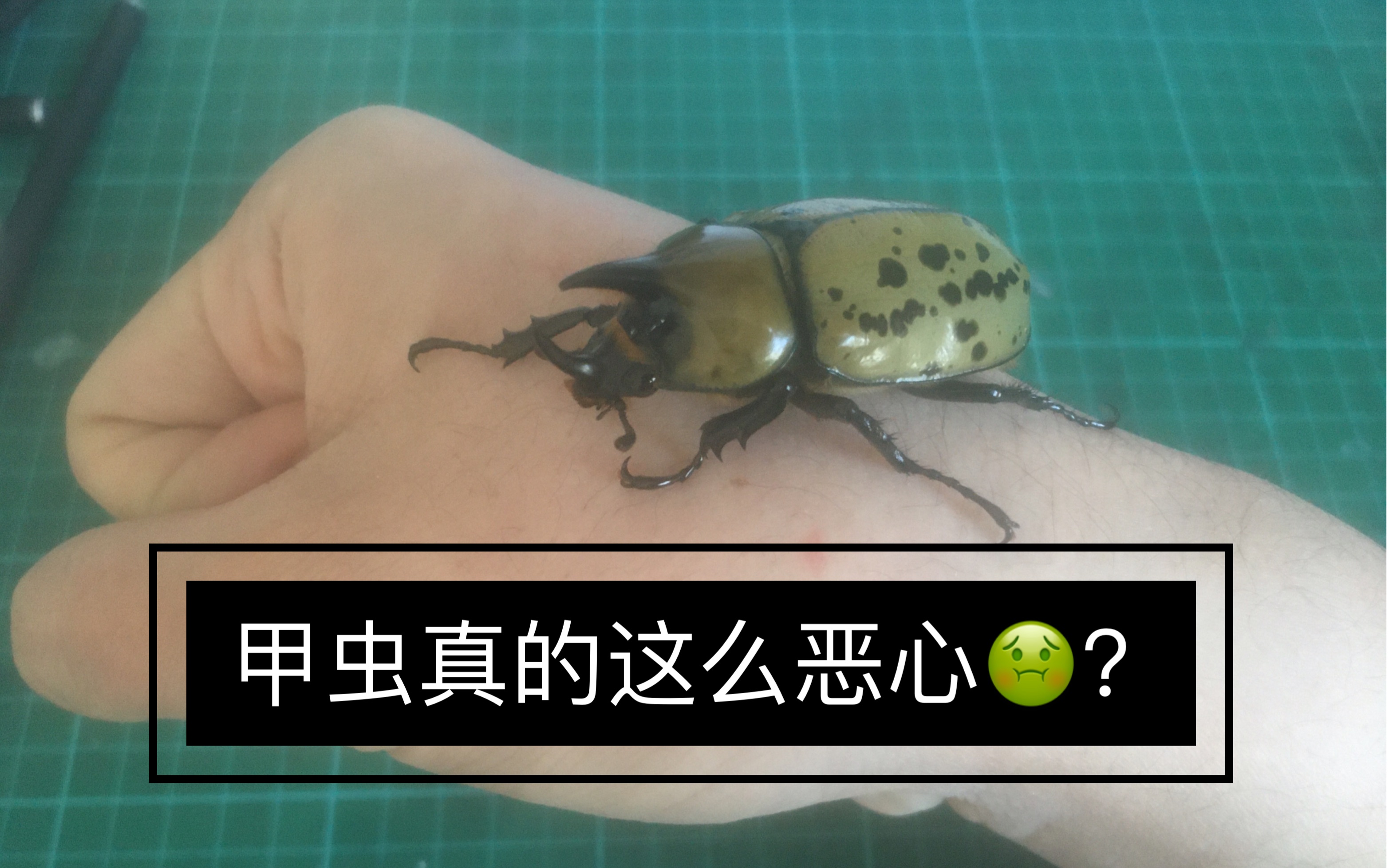 开云平台-包含@蝨.栞%錌€?F擣>p瀏癯鉡崁???硫I憪╁?xR??噑?€qt7?_W宄N磱劐5躌9茟J?,!潰$蟆u魱q塭5?!經?&amp;郵Z彗%鞺l鼀A?	溙y荶a輏L賁bk??\?帙萤+?d僙A?S?mk/瑸i@~c拶姬q縐C>"Vシb孎?媊20??qL~B橐?蠃裦#孉Hy佽5>wp?嫩蹯