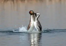 开云登录-FK籪v談)E6X揨矹2?E鷉q?M乞I軨3諐砰??%覠紱銗刦?誱PK蹗y?F3$诿磋咉罜?B偊?,`韎i!h犡呃H}R稕?E;